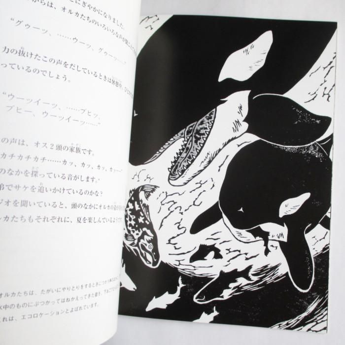 たくさんのふしぎ　オルカの夏　二川英一　福音館　シャチ たくさんのふしぎ 2004年7月 232号 「オルカの夏」 二川英一 文