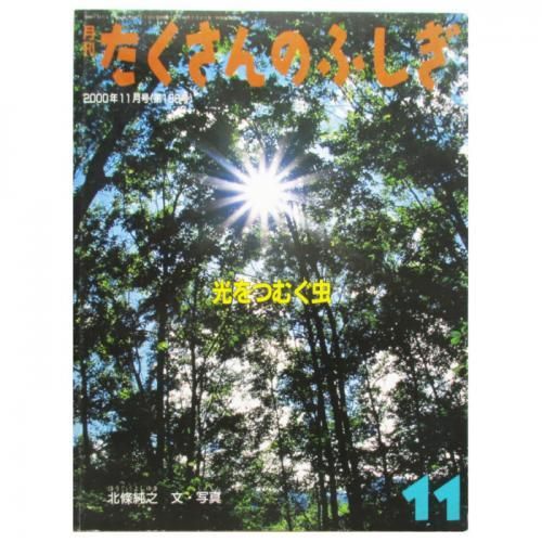 月刊たくさんのふしぎ・188号 光をつむぐ虫 - wordsong