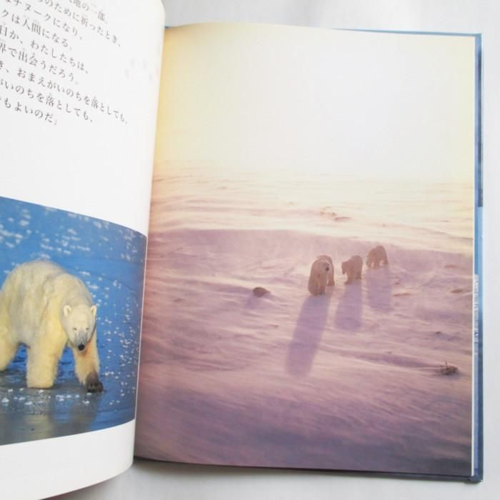 星野道夫　シロクマ親子ポスター 星野道夫 シロクマ親子ポスター 2025年最新】星野道夫 ポスター