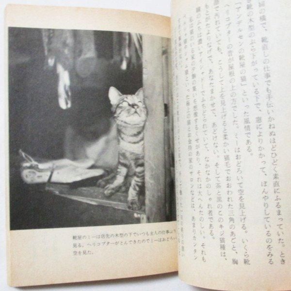 鴨居羊子 / のら猫トラトラ - wordsong