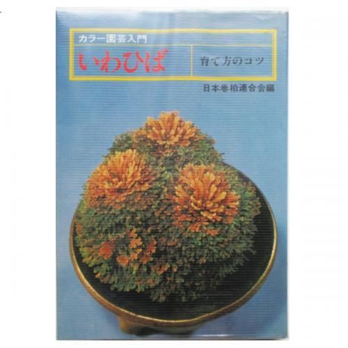 いわひば 育て方のコツ Wordsong いわひば 育て方のコツ Wordsong