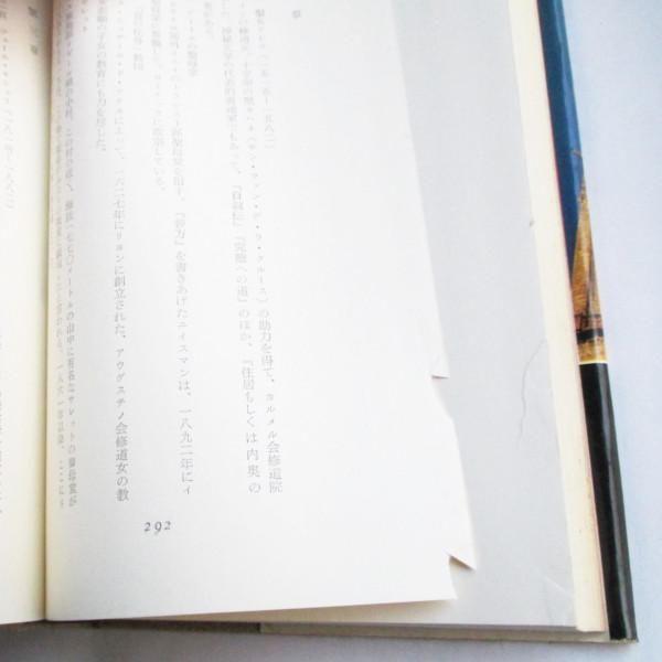 ユイスマン 大聖堂（仏文） image.jpg