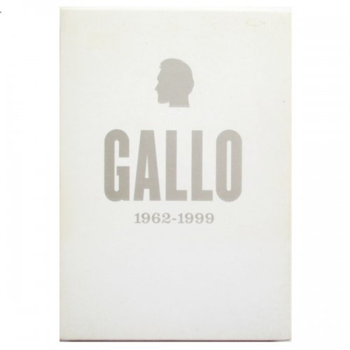 ヴィンセント・ギャロ - Vincent Gallo 1962‐1999 - wordsong