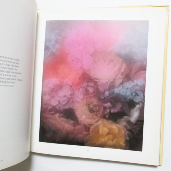 David Hamilton / Flowers - wordsong