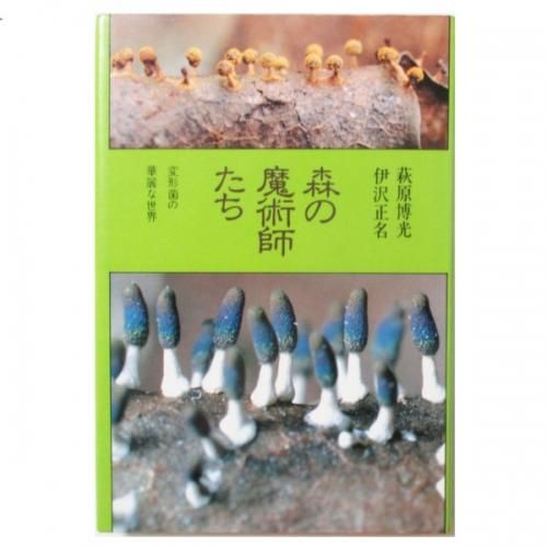 日本変形菌類図鑑』萩原博光・山本幸憲/解説・初版