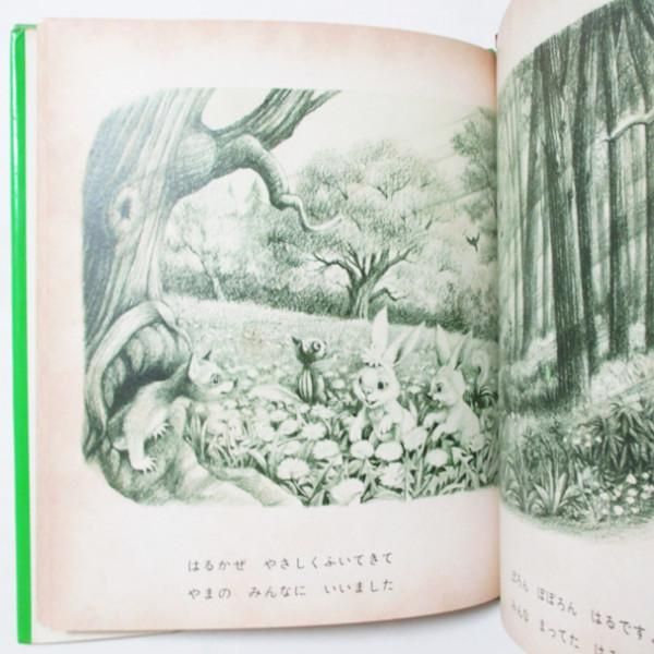 やまの花まつり 文京区あじさいまつり💠 白山神社⛩️ カラフルな紫陽花が