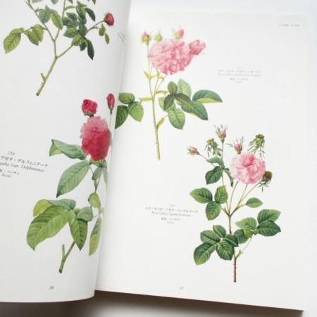 薔薇空間 宮廷画家ルドゥーテとバラに魅せられた人々」カタログ