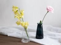<img class='new_mark_img1' src='https://img.shop-pro.jp/img/new/icons1.gif' style='border:none;display:inline;margin:0px;padding:0px;width:auto;' />vase short / ¼Τ