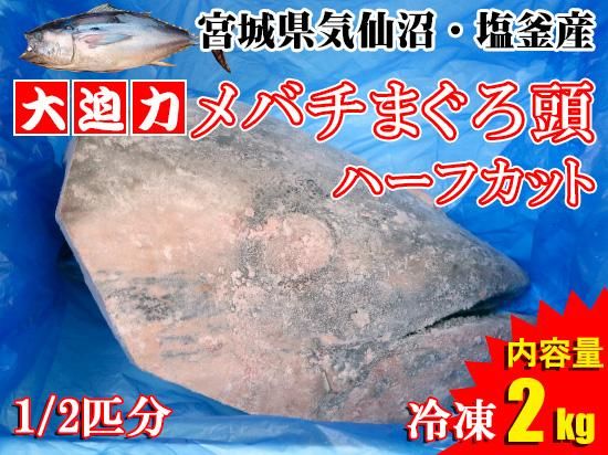 冷凍品 メバチマグロの頭ハーフカット 2kg以上