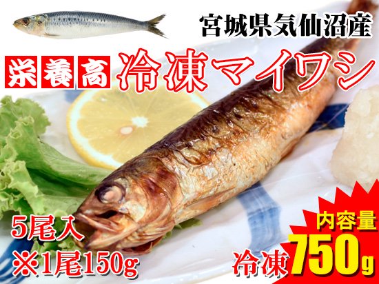 【ヘルシーさかな！】気仙沼産冷凍マイワシ ※5尾/750g