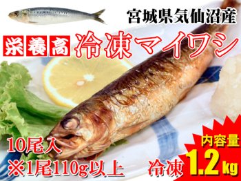 【ヘルシーさかな！】気仙沼産冷凍マイワシ ※10尾/1.2kg