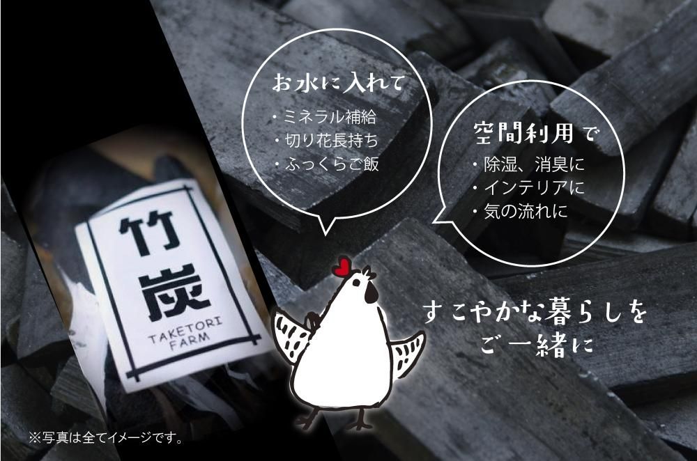竹の子 10キロ お得パック 体験も人気(*^▽^)/★*☆♪ imgrc0089987027.jpg