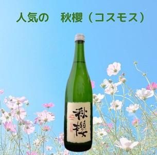 富久長 ひやおろし 純米吟醸 秋櫻 720ml』今田酒造 広島県東広島市