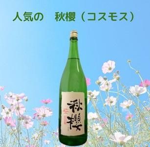 富久長 ひやおろし 純米吟醸 秋櫻 1800ml』今田酒造 広島県東広島市
