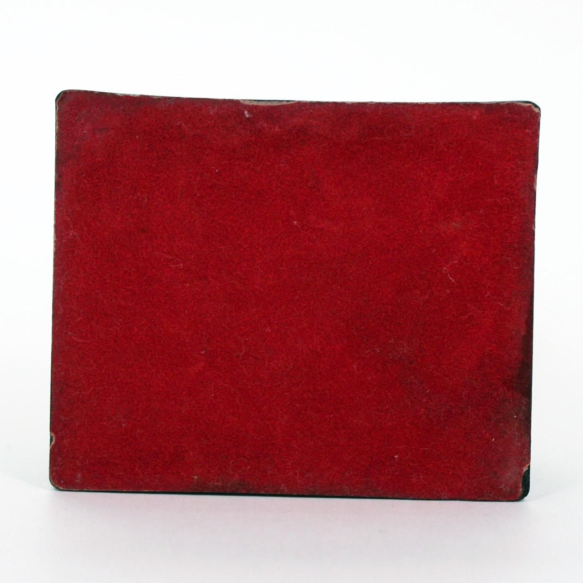 SN AVIVA トロフィー、スヌーピー、ティーチャー - ファイヤーキングと