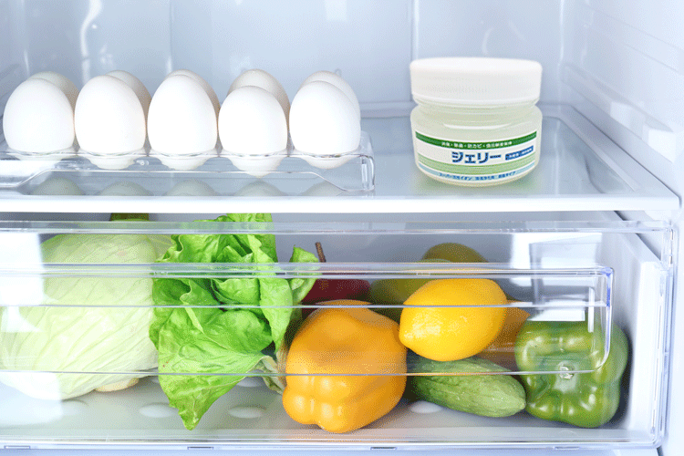 冷蔵庫の消臭除菌防カビ食品鮮度保持剤