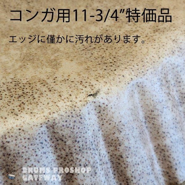 REMO / コンガヘッド SYMMETRY SKYNDEEP CALF SKYN (対応機種：LP