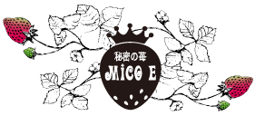 ̩MICOE