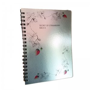 СΡȡStrawberry notebook