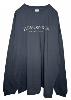 <img class='new_mark_img1' src='https://img.shop-pro.jp/img/new/icons16.gif' style='border:none;display:inline;margin:0px;padding:0px;width:auto;' />MARDIGRASBig Silhouette Long Sleeve T-shirt HARMONY SUMI