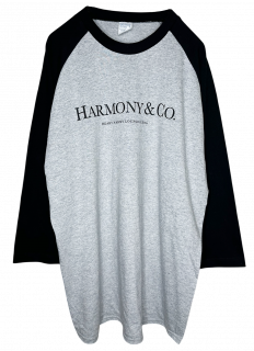<img class='new_mark_img1' src='https://img.shop-pro.jp/img/new/icons16.gif' style='border:none;display:inline;margin:0px;padding:0px;width:auto;' />MARDIGRASRaglan T-shirt HARMONY Glay