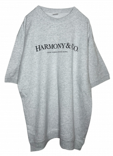 <img class='new_mark_img1' src='https://img.shop-pro.jp/img/new/icons16.gif' style='border:none;display:inline;margin:0px;padding:0px;width:auto;' />MARDIGRASShort Sleeve Sweat HARMONY Ash