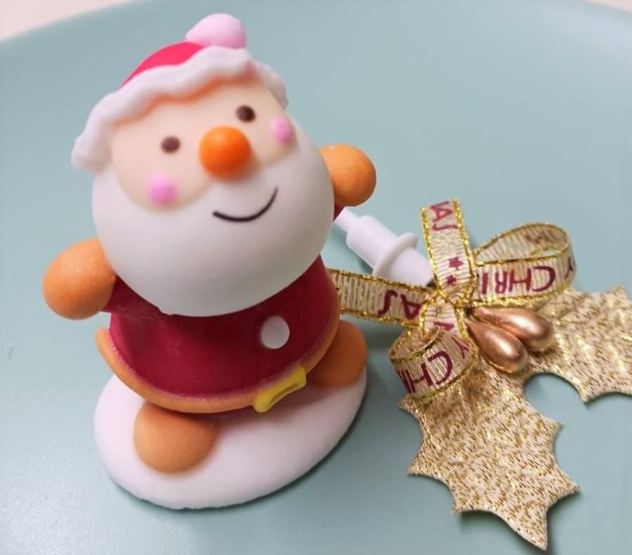 クリスマス飾り付き☆ 低たんぱく 生チョコホールケーキ (冷凍)<img class='new_mark_img2' src='https://img.shop-pro.jp/img/new/icons1.gif' style='border:none;display:inline;margin:0px;padding:0px;width:auto;' />