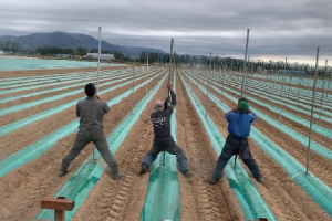 ĹݡΩƤȥͥåĥꥤ᡼