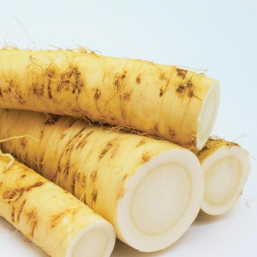 山わさびのイメージ