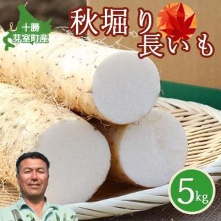 11͡ ̳ƻ꼼Į Ĺ 5kg