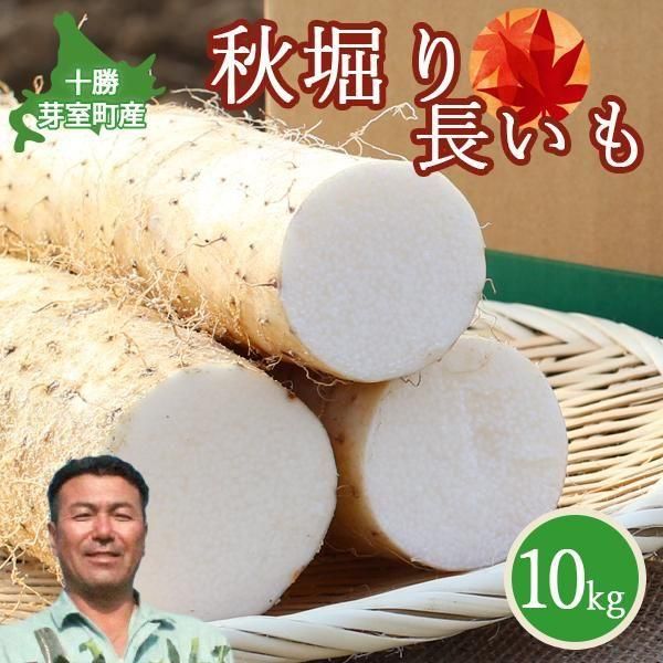 11͡ ̳ƻ꼼Į Ĺ 10kg