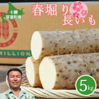 4͡ ̳ƻ꼼Į շĹ 5kg