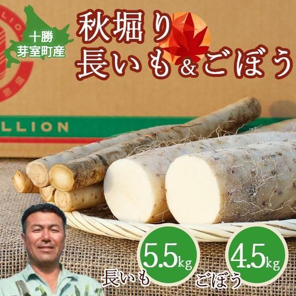 11͡ ̳ƻ꼼Į Ĺܤå 10kg