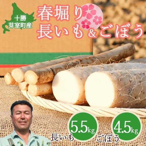 4͡ ̳ƻ꼼Į շĹܤ 10kg