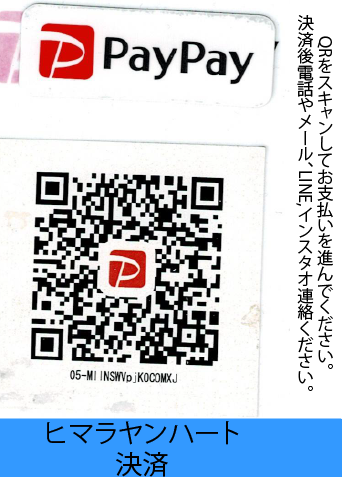 PayPay
