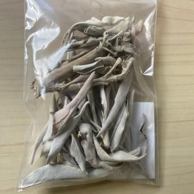 ホワイトセイジによる浄化 (小)