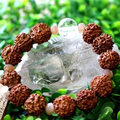 天然石ルドラクシャ （菩提樹の実）