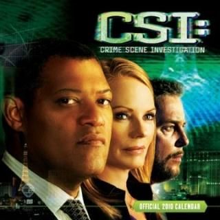 2010ǯ ͢ CSI 