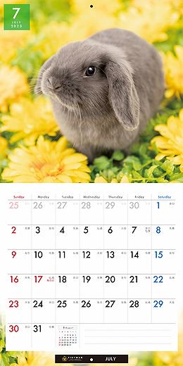 PICTWAN ラビット（ウサギ） 2023年 カレンダー
