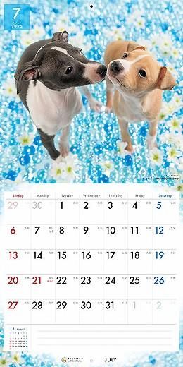 PICTWAN ꥢ󡦥졼ϥ 2025ǯ 