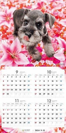 PICTWAN ʥ 2025ǯ 