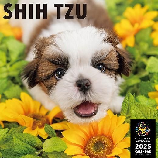 PICTWAN  2025ǯ 