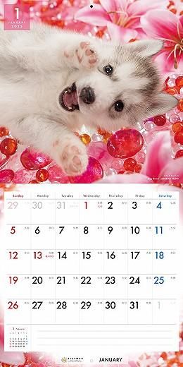 PICTWAN ٥ꥢ󡦥ϥ 2025ǯ 