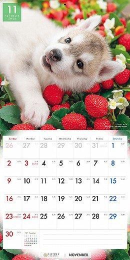 PICTWAN ٥ꥢ󡦥ϥ 2025ǯ 