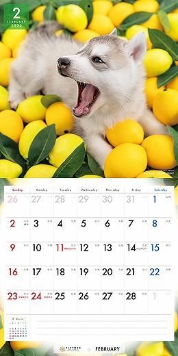 PICTWAN ٥ꥢ󡦥ϥ 2025ǯ 