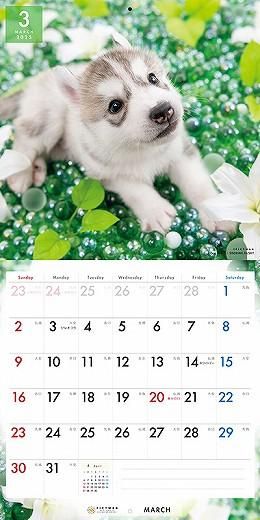 PICTWAN ٥ꥢ󡦥ϥ 2025ǯ 