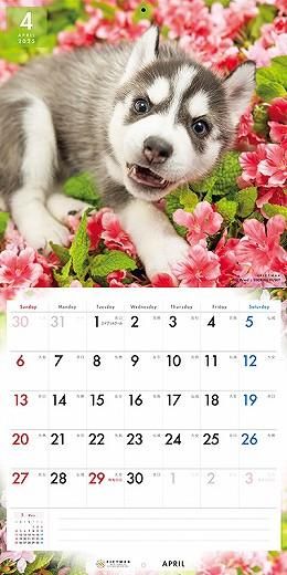 PICTWAN ٥ꥢ󡦥ϥ 2025ǯ 