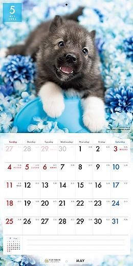PICTWAN ٥ꥢ󡦥ϥ 2025ǯ 