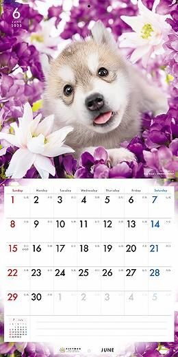 PICTWAN ٥ꥢ󡦥ϥ 2025ǯ 