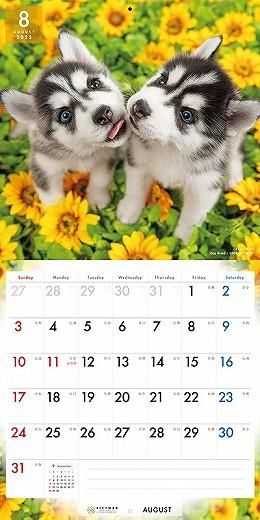 PICTWAN ٥ꥢ󡦥ϥ 2025ǯ 